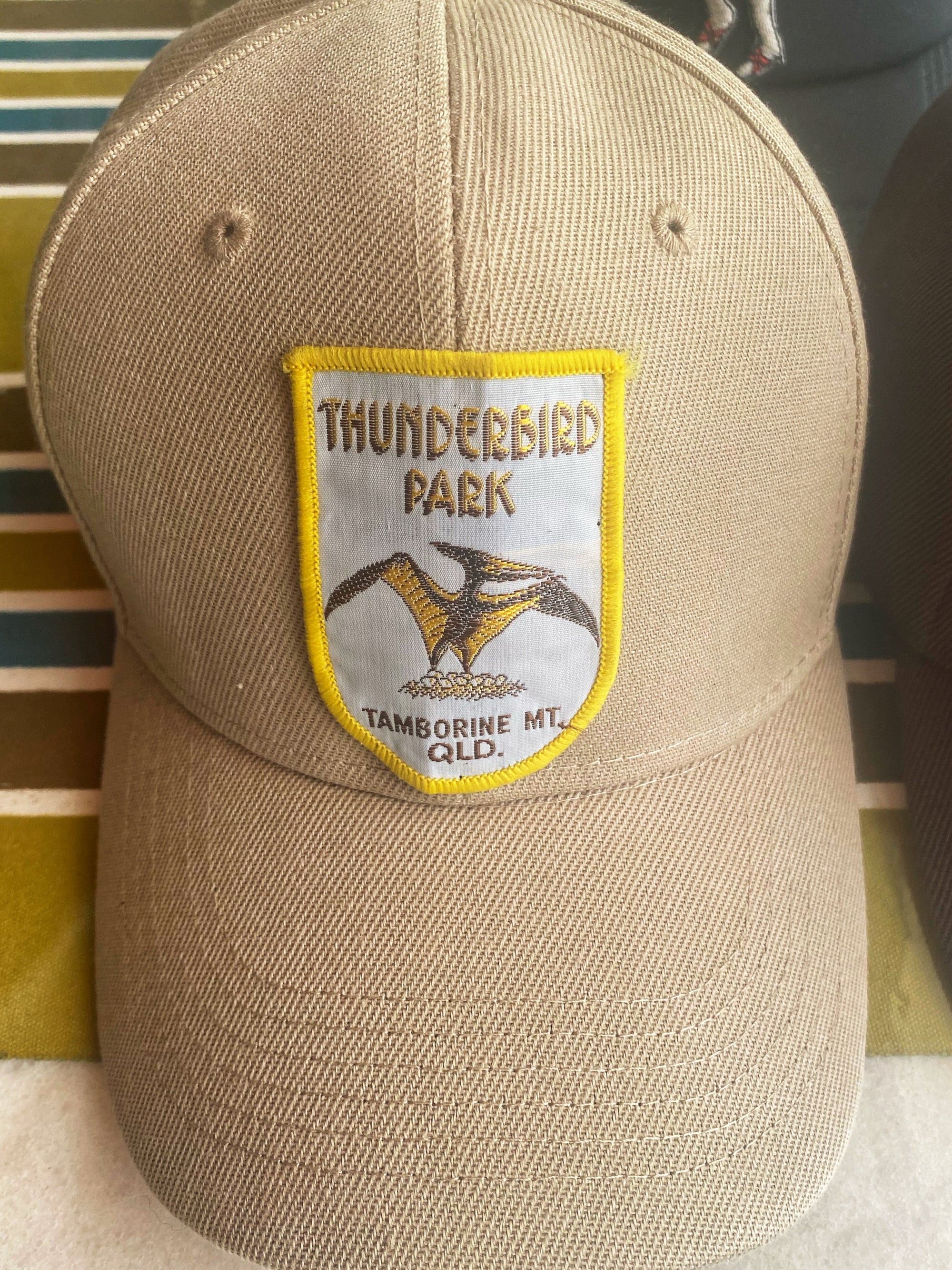 Beige Retro Style Thunderbird Park Patch Cap