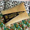 Gold Velvet Pennant Flag Cushion - QLD Inst Tech