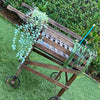 Vintage Wooden Laundry Trolley