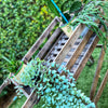 Vintage Wooden Laundry Trolley